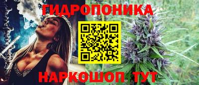 PSILOCYBIN Ногинск